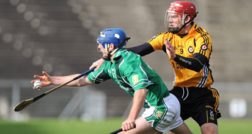 ulster-interpro-hurling-2009.jpg