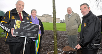 Ulster President unveils 125 Tree
