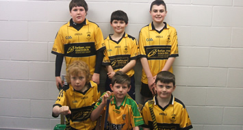 Under-12 North West Indoor Hurling Competition