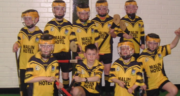 North West Indoor Hurling U10 Competition