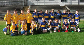 U10 Hurling Go Games Blitz