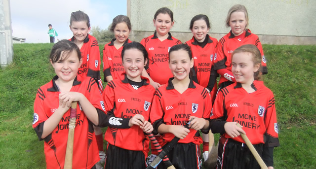 Allianz Cumann na mBunscol Hurling and Camogie Blitz