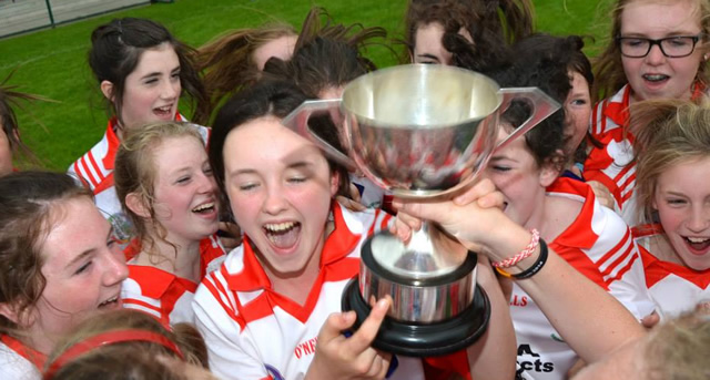 feile-na-ngael-2014-loughgiel-camogie