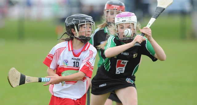 feile-na-ngael-2014-02